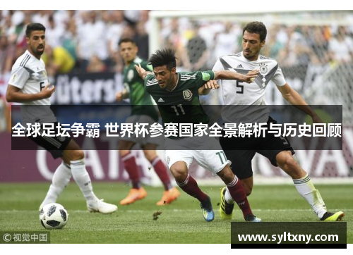 全球足坛争霸 世界杯参赛国家全景解析与历史回顾