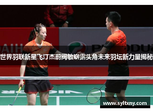 世界羽联新星飞汀杰蔚阀敏崭露头角未来羽坛新力量揭秘