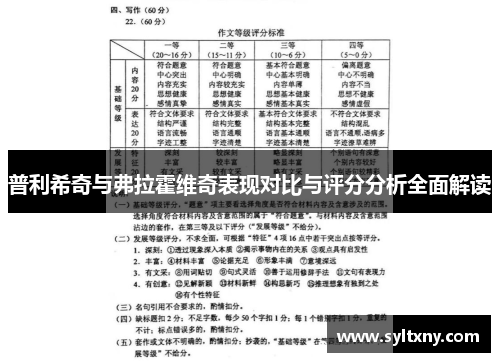 普利希奇与弗拉霍维奇表现对比与评分分析全面解读