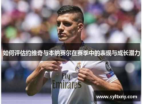 如何评估约维奇与本纳赛尔在赛季中的表现与成长潜力