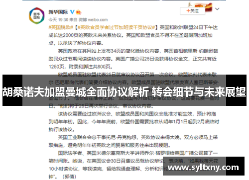 胡桑诺夫加盟曼城全面协议解析 转会细节与未来展望