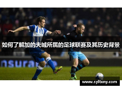 如何了解加的夫城所属的足球联赛及其历史背景