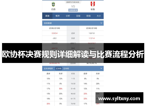 欧协杯决赛规则详细解读与比赛流程分析