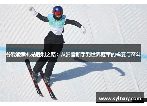 谷爱凌崇礼站胜利之路：从滑雪新手到世界冠军的蜕变与奋斗