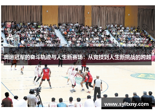 奥运冠军的奋斗轨迹与人生新赛场：从竞技到人生新挑战的跨越