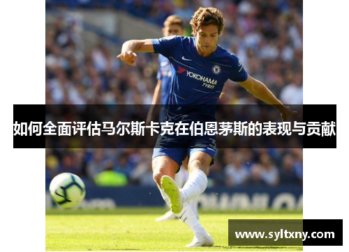 如何全面评估马尔斯卡克在伯恩茅斯的表现与贡献